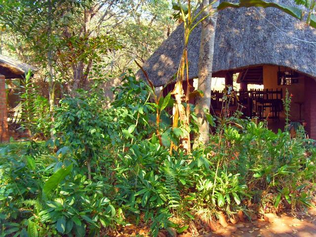Mosi-Ua-Tunya Lodge Водопад Виктория Экстерьер фото